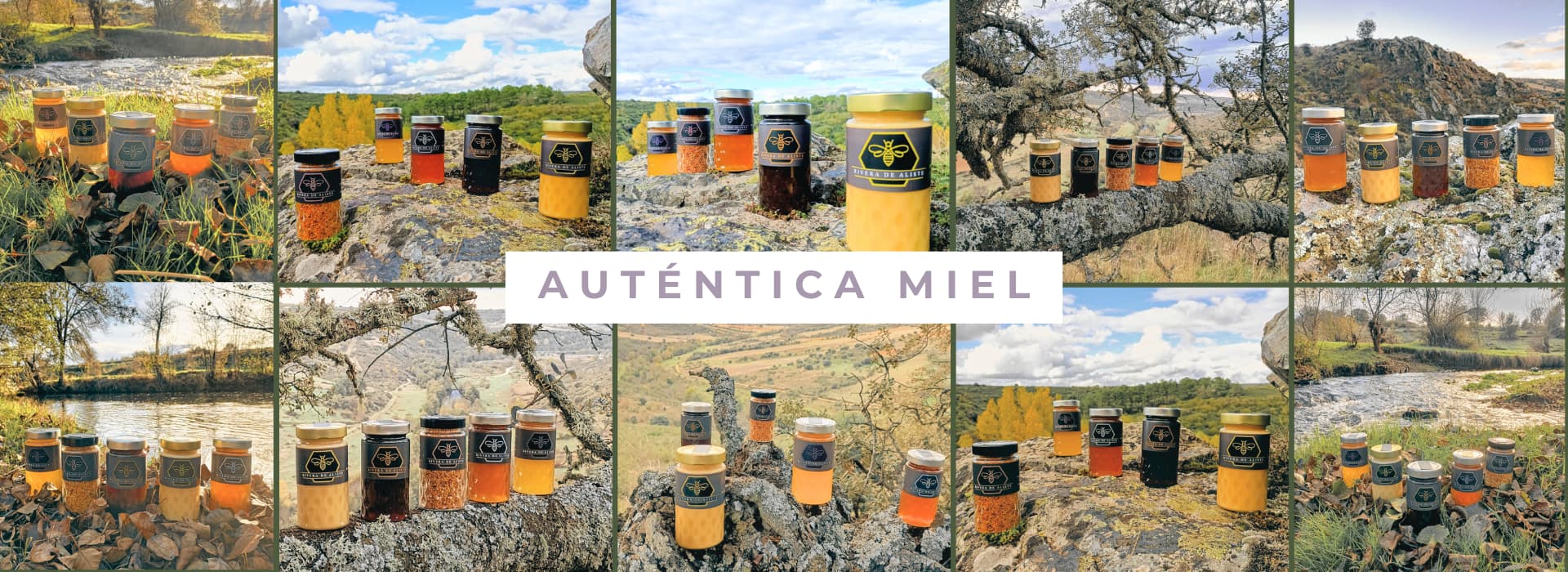 Miel Rivera de Aliste Miel Rivera de Aliste