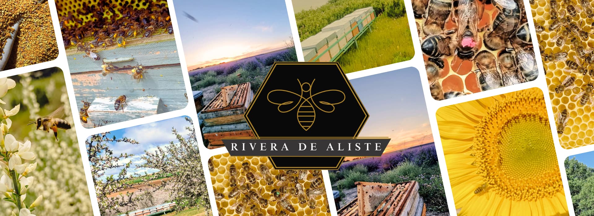 Miel Rivera de Aliste Miel Rivera de Aliste